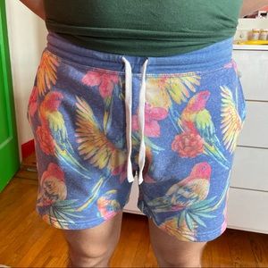 Chubbies 5.5” inseam sweatpants shorts tropical